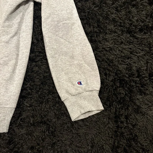 Champion Gray Montclair State Alumni Crewneck Sweater - Picture 3 of 3